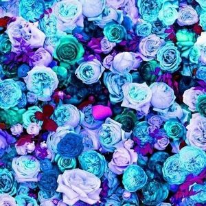 Meet your Posher, Cristina